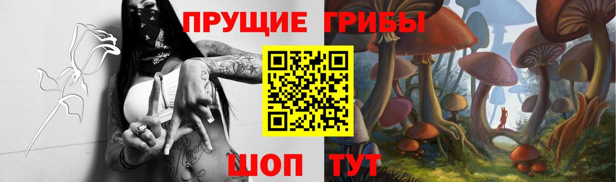 Псилоцибиновые грибы Magic Shrooms  Вход с VPN  Псилоцибиновые грибы ЛСД  Костомукша 